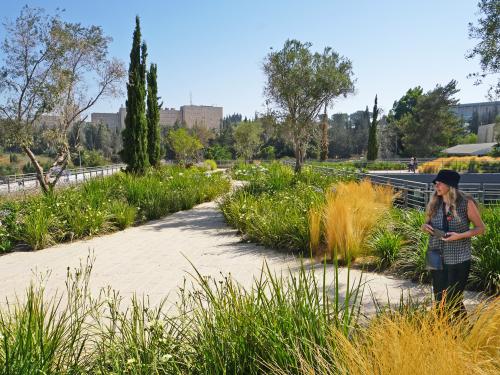 Woman standing on a roof garden with cypresses, perennials, ornamental grasses and small trees.